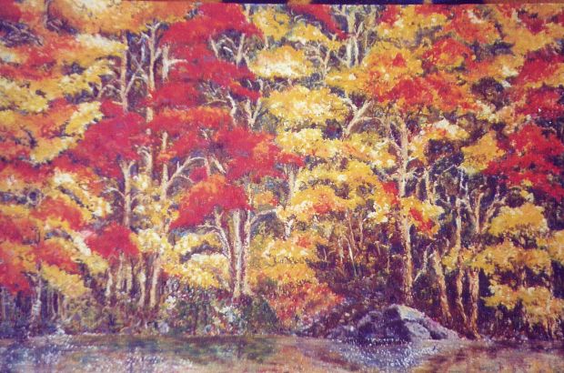 Indian Summer 2006